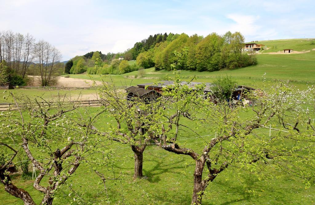 Familienparadies Reichenhauser Keutschach am See Eksteriør bilde